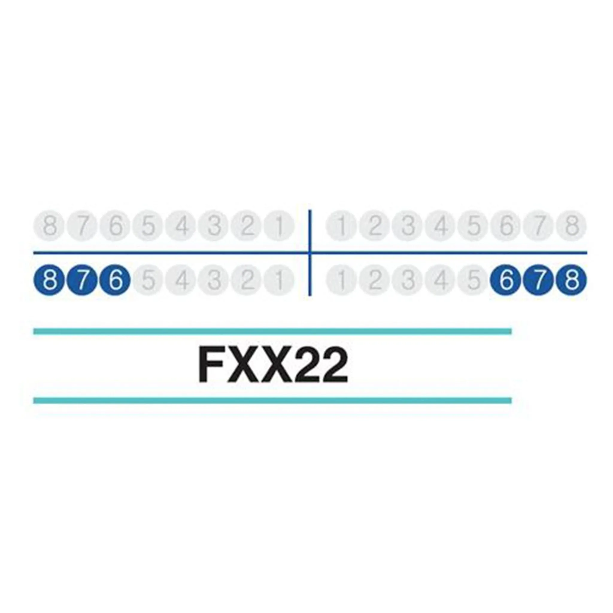 Adult Extraction Forcep, FXX22