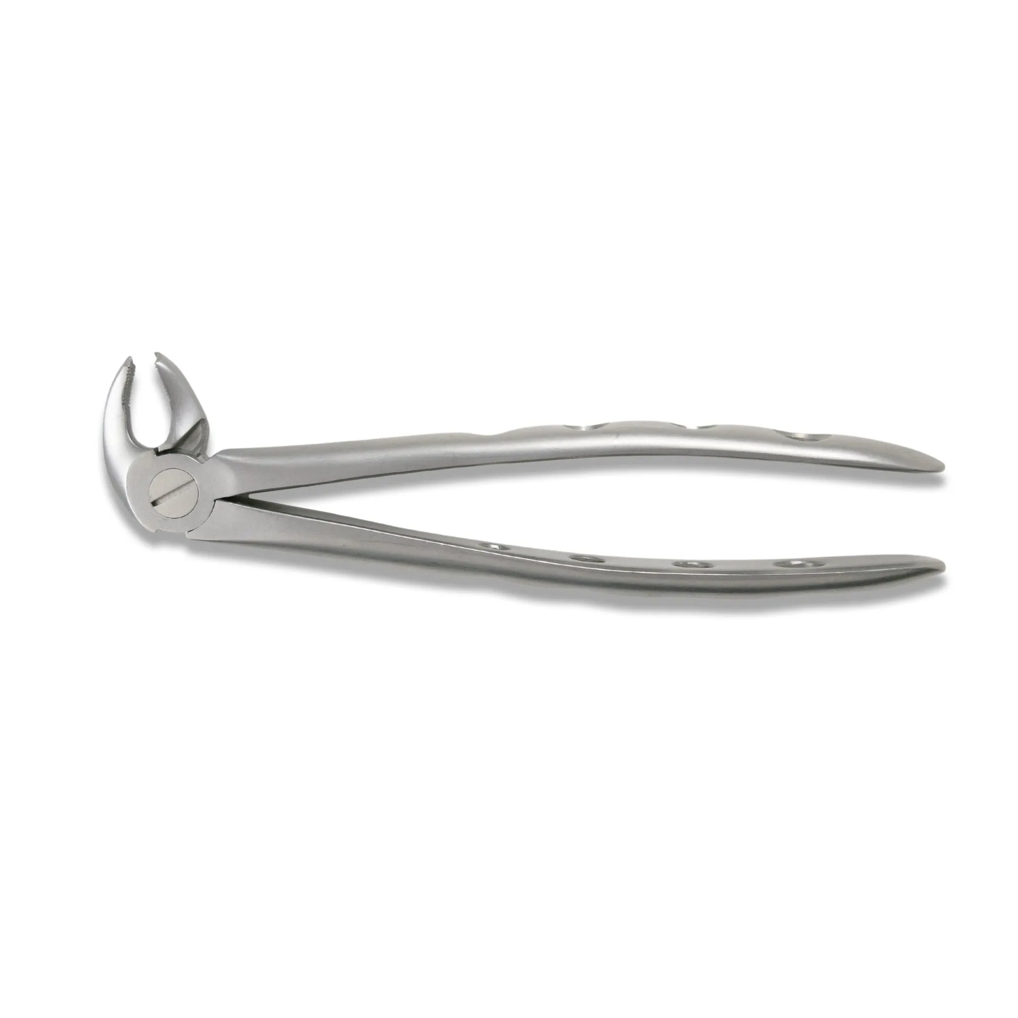 Adult Extraction Forcep, FXX22