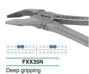 Adult Extraction Forcep, Lower 54-45