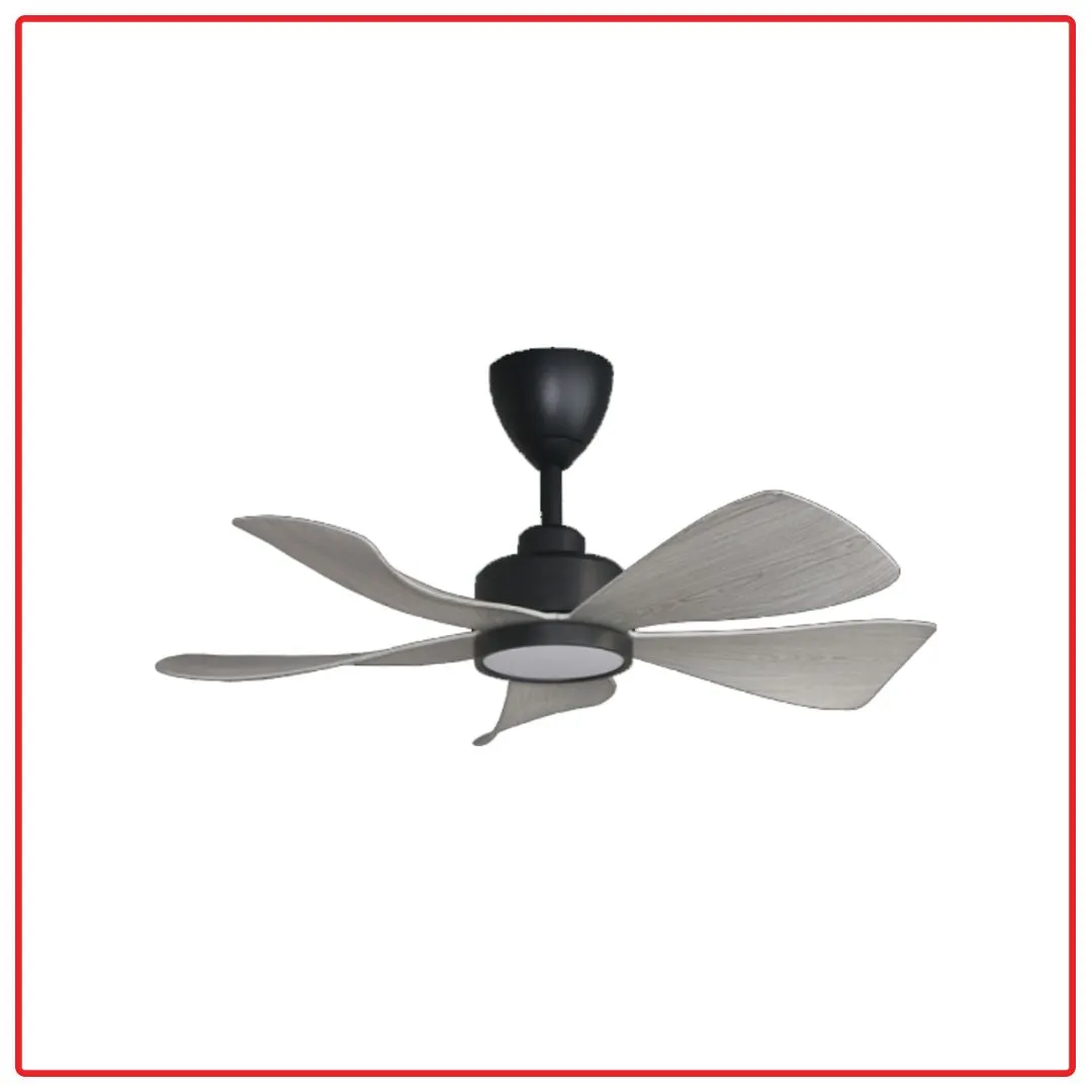 Alpha HANI-5B/36 LED 36 Inch DC Motor Ceiling Fan with LED Lighting