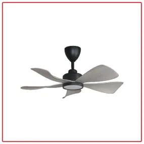 Alpha HANI-5B/36 LED 36 Inch DC Motor Ceiling Fan with LED Lighting