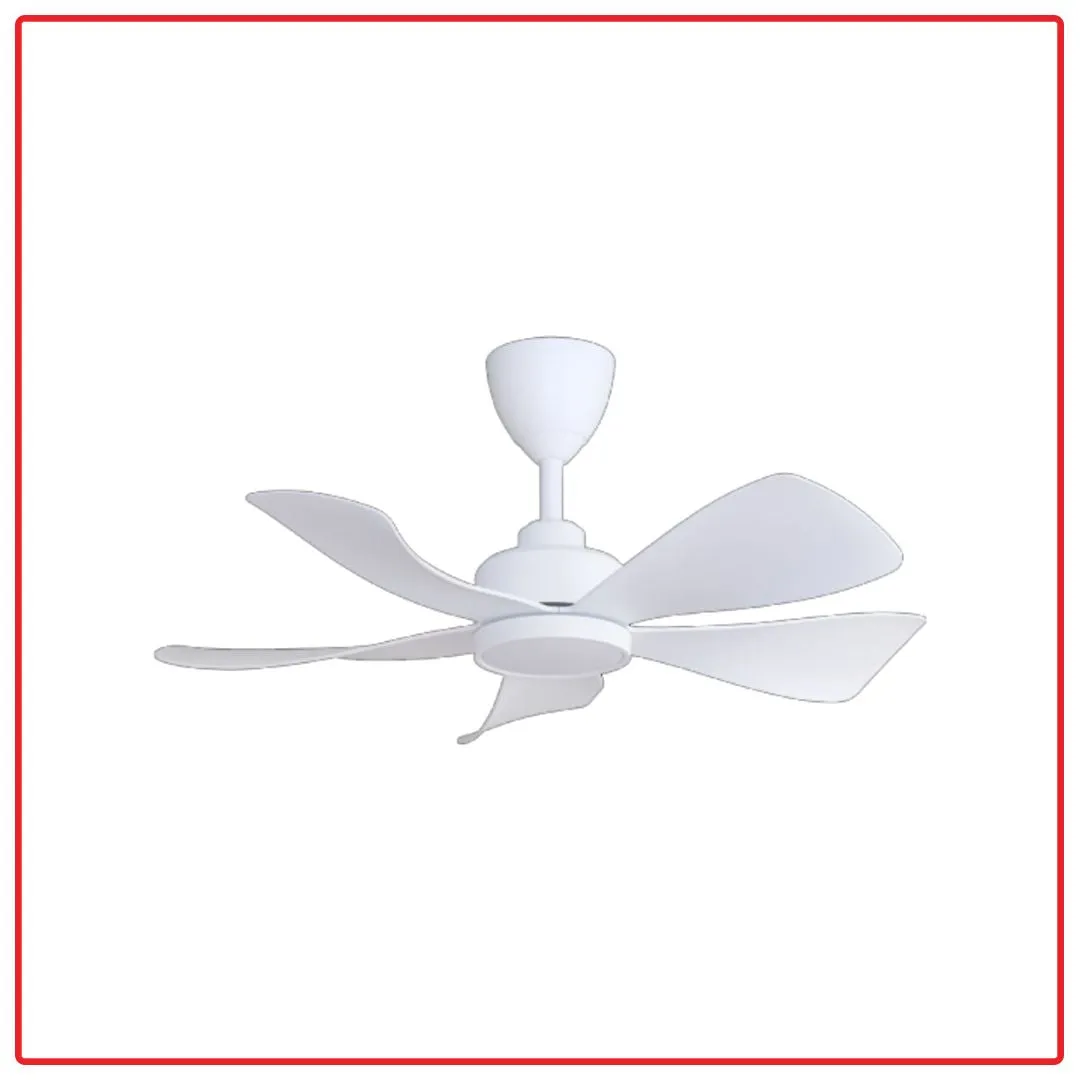 Alpha HANI-5B/36 LED 36 Inch DC Motor Ceiling Fan with LED Lighting