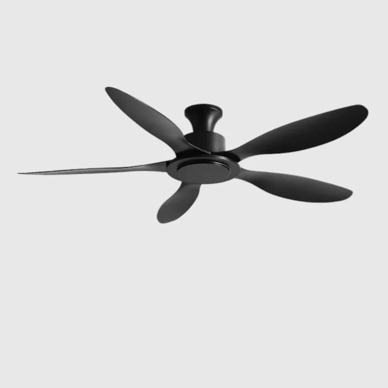 Arviso | Low Profile Ceiling Fan