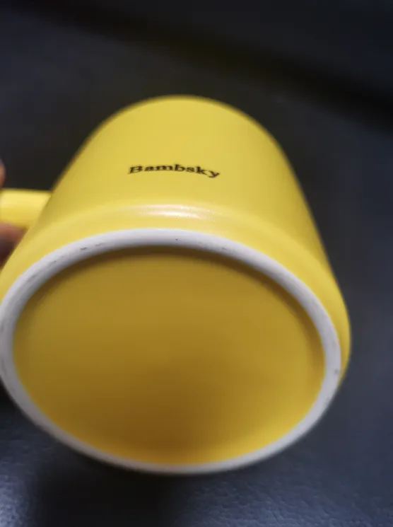 Bambsky Cups,Ceramic coffee cups, for office and home use