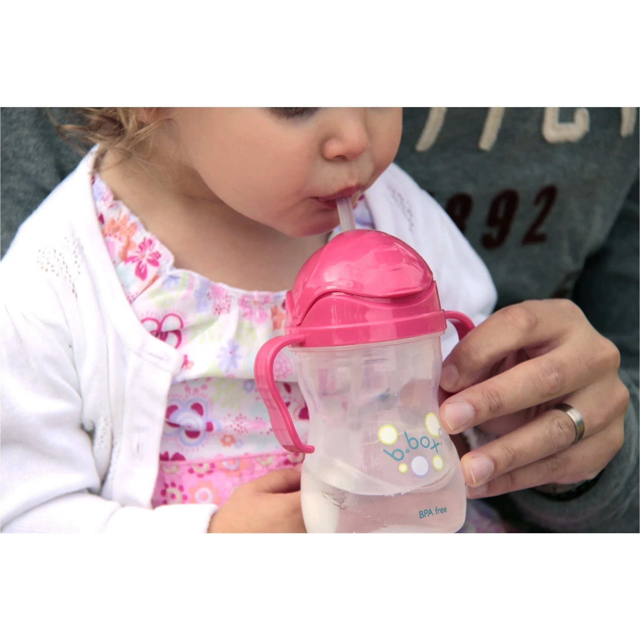 B.Box Sippy Cup (Blueberry)