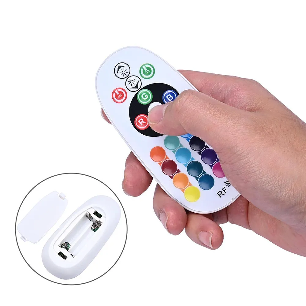 DELight LED Controller RF Remote for 50ft Neon Rope Light RGB