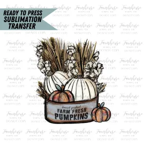 Farm Fresh Pumpkins, Ready to Press Sublimation Transfers, Sublimation design, Trick or Treat, Pampas Grass & Pumpkins, Farmhouse Fall