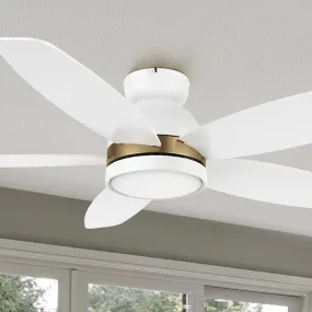 Levi Low Profile Smart Ceiling Fan with Light Remote Outdoor/indoor 48"