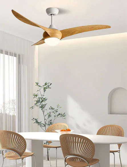 Lux Flow Mute Hanging Fan With Light