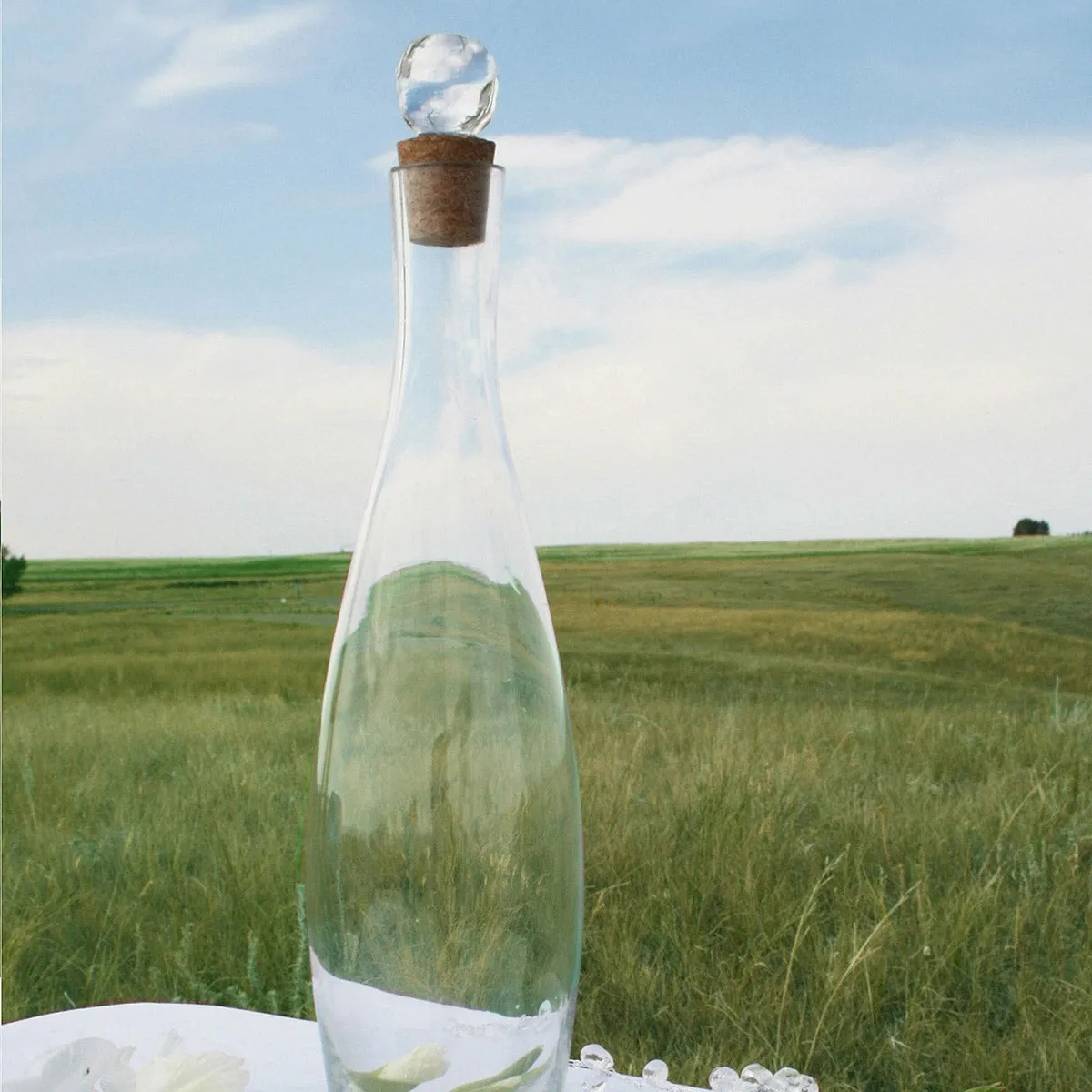 Message In A Bottle Time Capsule Guest Book