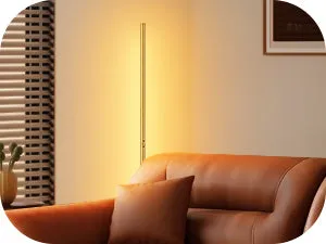 Modern Slim Dimmable LED Corner Floor Lamp, Gold-HFLCB1A