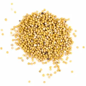 Mustard Seed Yellow (Whole)