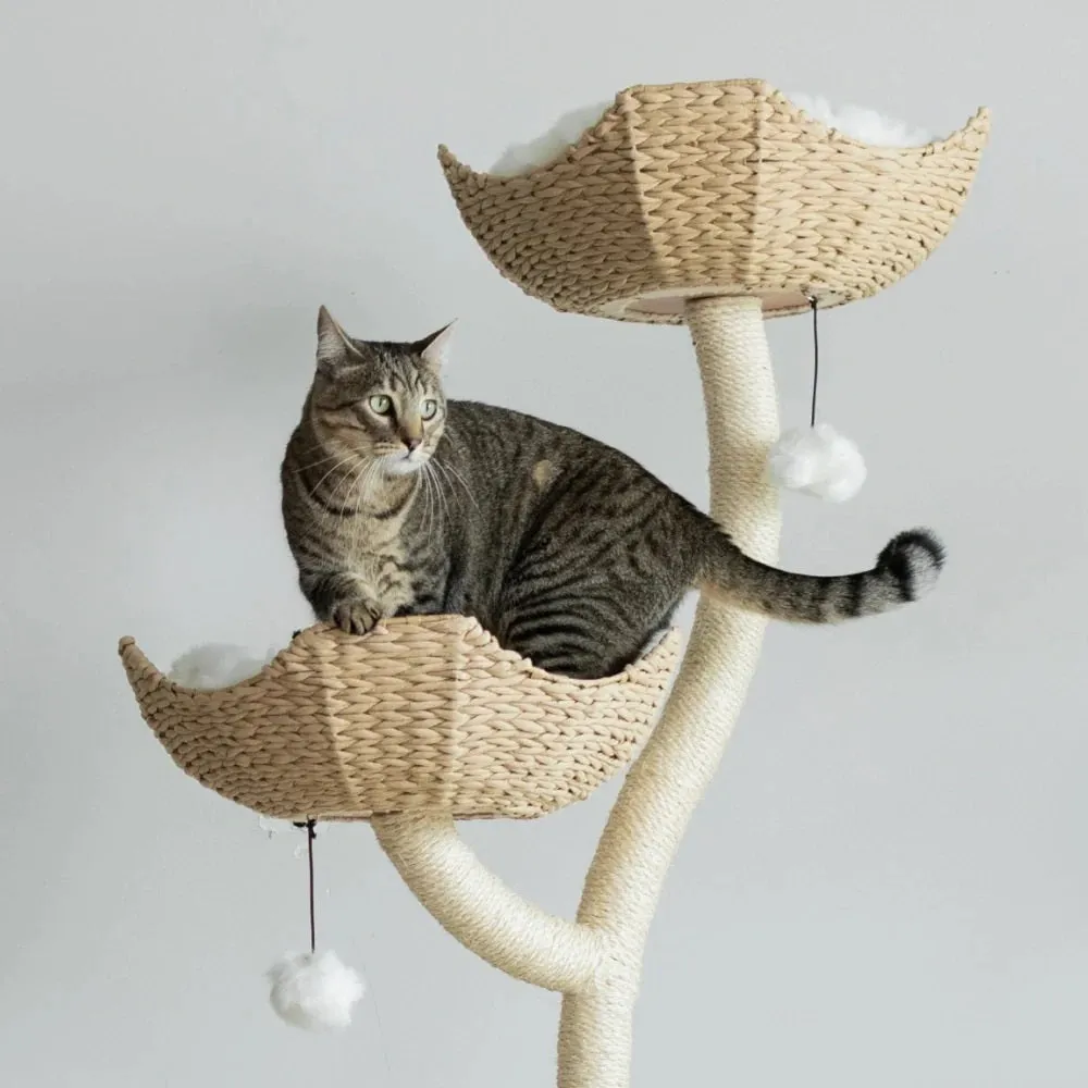 The Ivy Cat Tree - NEW!!!