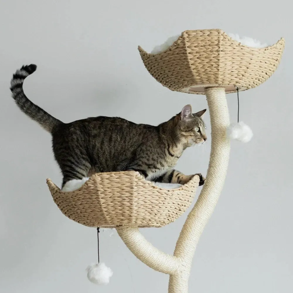 The Ivy Cat Tree - NEW!!!