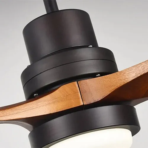 Wood Frequency Conversion Pendant Fan Light