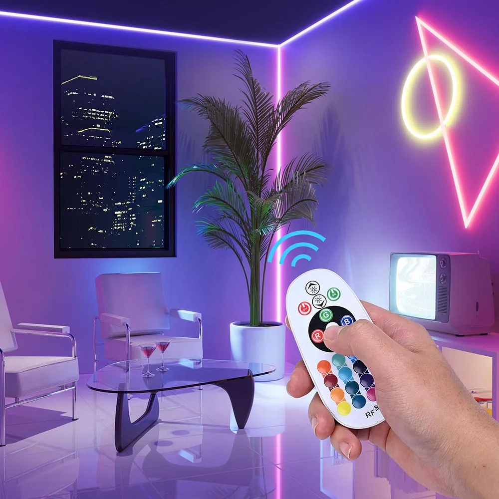 Yescom LED Controller RF Remote for Neon Rope Light RGB